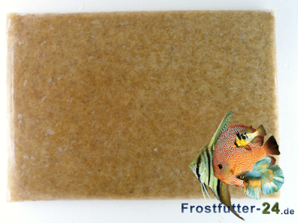 Mysis Schwebegarnele 500g Flachtafel