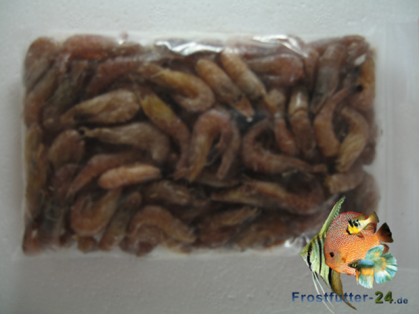Sandgarnelen im 500g Beutel