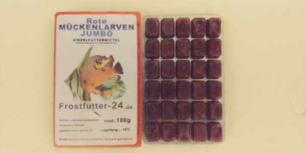 Rote Mückenlarve Groß 100g Blisterverpackung