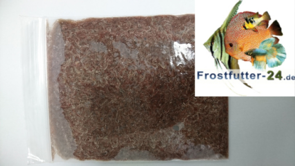 Tubifex Schlammrohrwürmer 100g Flachtafel